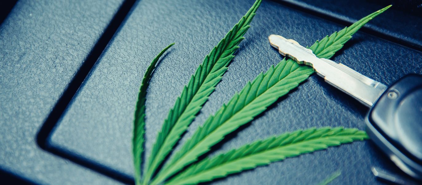 Prescribed Medical Marijuana for Students - Are They Fit to Drive?
