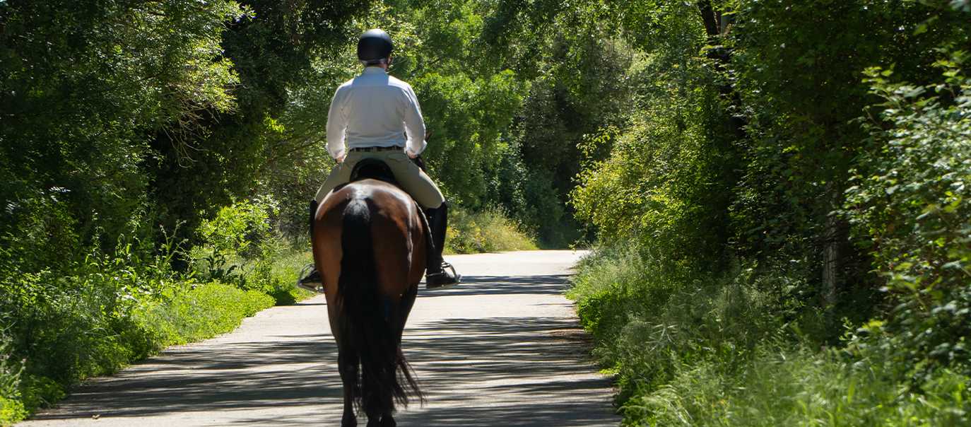 Horse Riders and Road Safety: Essential Guidance for Drivers