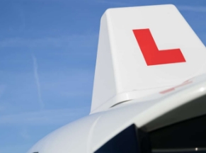 PI & PL Insurance